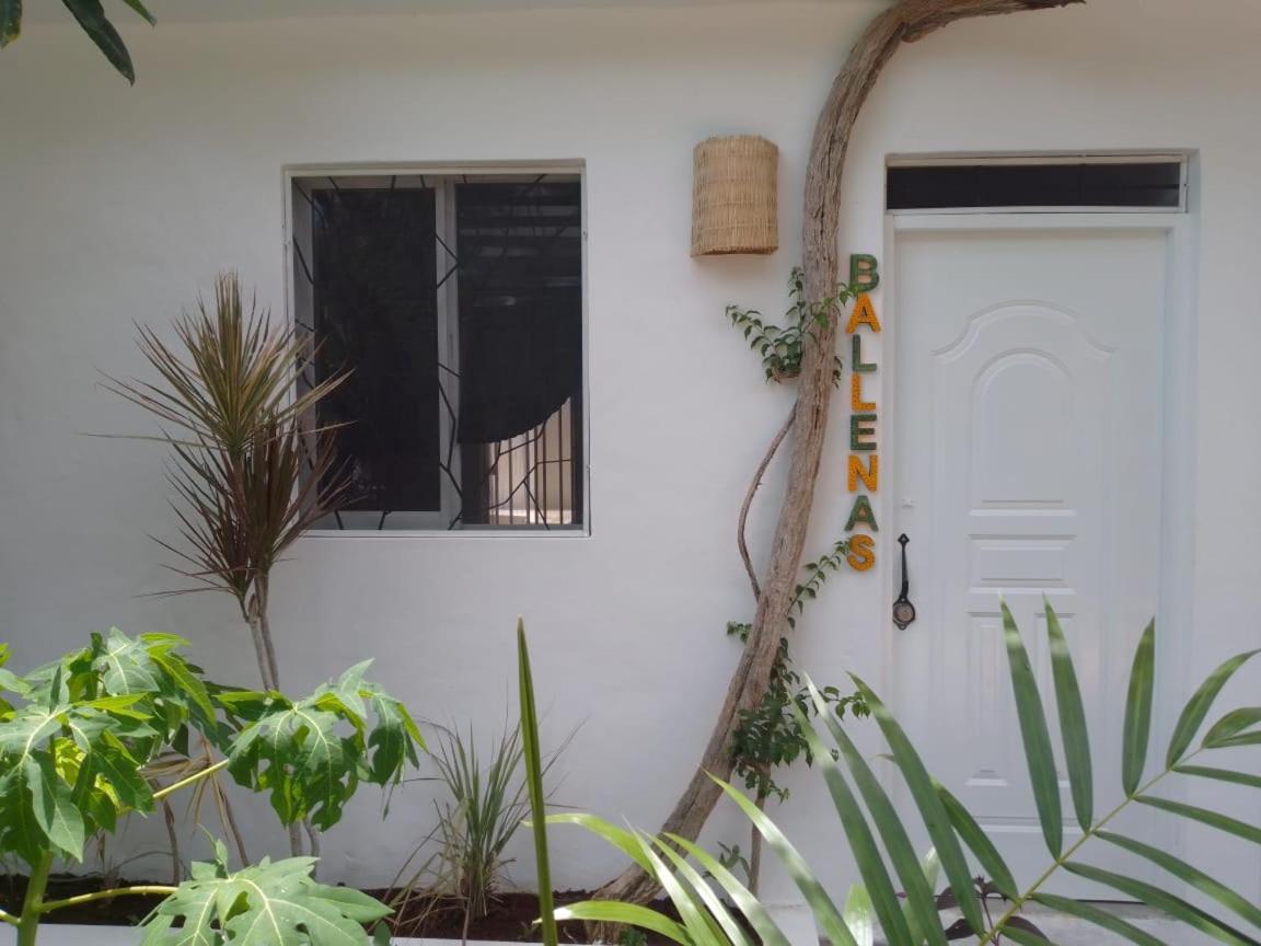 New Moringa Apartment Las Terrenas Exterior photo