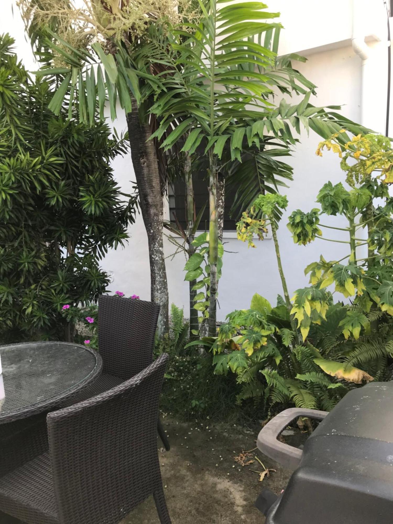 New Moringa Apartment Las Terrenas Exterior photo